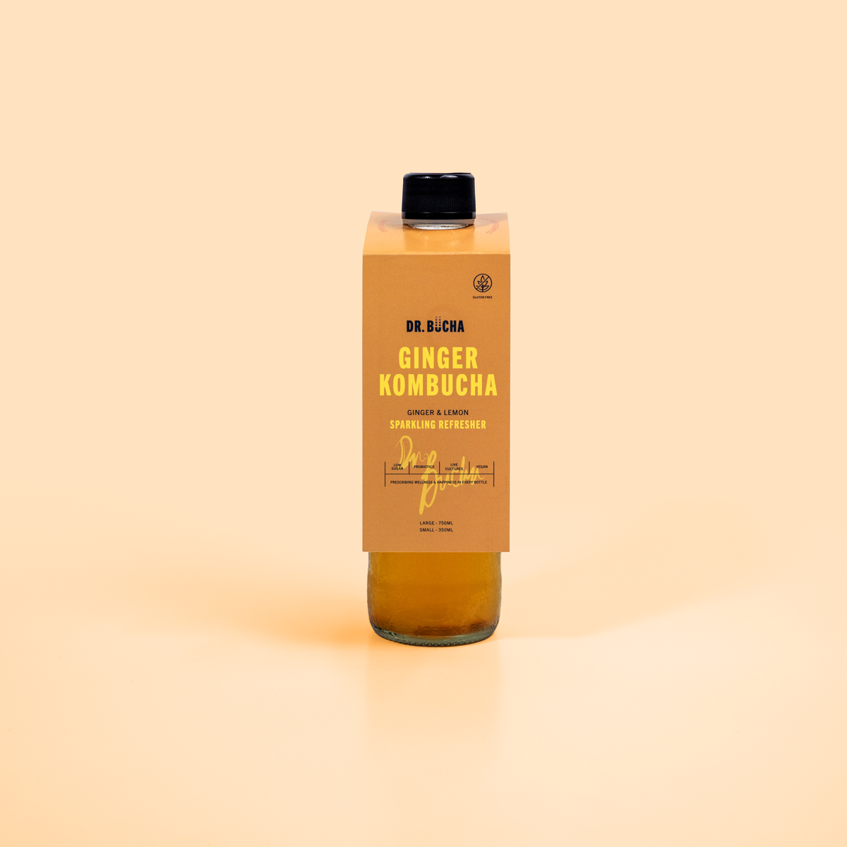 Ginger Kombucha | Authentic Spicy Living Drink | Dr. Bucha – Dr.Bucha